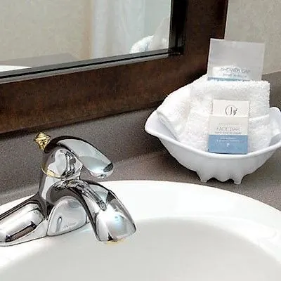 Best Western Plus Carlton Plaza Hotel Victoria 3*,  Canada